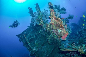 Bali: Tulamben Bay och USAT Liberty Wreck Dive