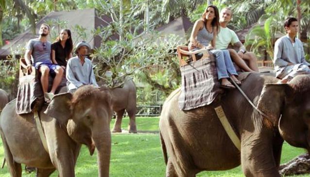 Elephant Safari Park Taro