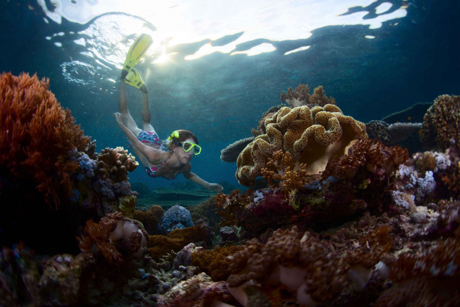 From Bali: 3 Snorkeling Spots Tour to Lembongan and Penida