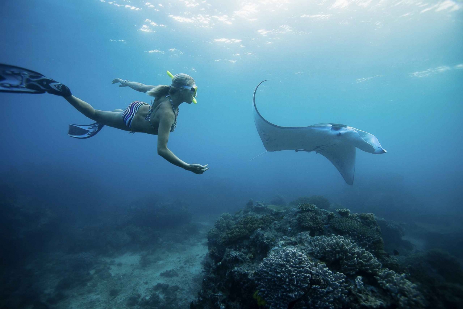 From Bali: Swim with Manta Rays in Nusa Penida