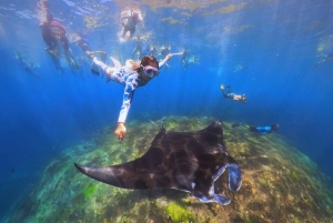 From Bali: Swim with Manta Rays in Nusa Penida