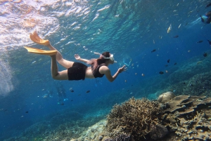 From Bali: Swim with Manta Rays in Nusa Penida