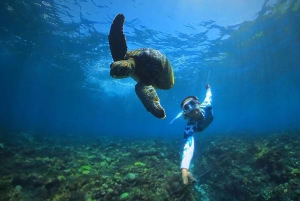 From Bali: Swim with Manta Rays in Nusa Penida