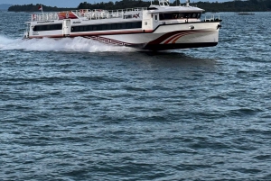 From Bali: Swim with Manta Rays in Nusa Penida