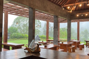 Mount Batur: Privat jeeptur ved solopgang og naturlige varme kilder