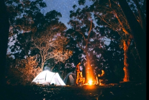 Mt. Batur : 2 jours de camping, randonnée au sommet et sources chaudes