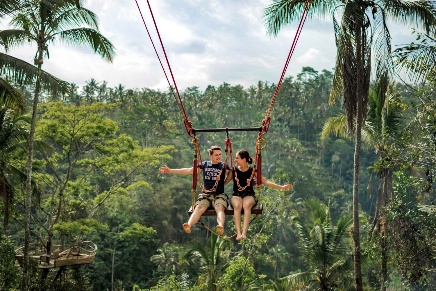 Bali: Swing with Falls, Rice Terrace, & Monkey Forest Option