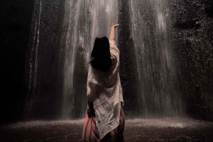 Bali: Gynge med fossefall, risterrasse og alternativ for apeskog