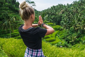 Ubud: Visita às espectaculares quedas de água