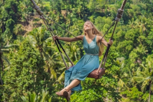 Ubud: Visita às espectaculares quedas de água