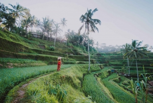 Ubud: Visita às espectaculares quedas de água