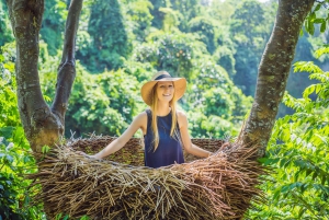 Ubud: Visita às espectaculares quedas de água
