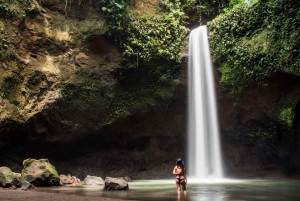 Ubud: Visita às espectaculares quedas de água