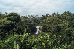 Ubud: Visita às espectaculares quedas de água