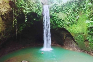 Ubud: Visita às espectaculares quedas de água