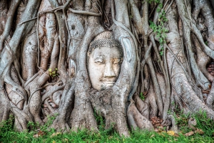 Bangkok: Ayutthaya & Lopburi Monkey Temple Private Day Trip