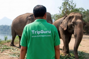Bangkok: Tour del santuario degli elefanti e delle cascate di Erawan