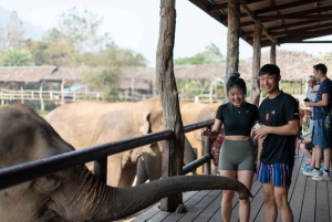 Bangkok: Tour del santuario degli elefanti e delle cascate di Erawan