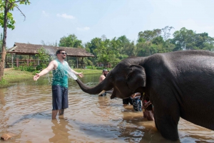 Bangkok: Tour del santuario degli elefanti e delle cascate di Erawan