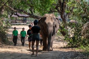 Bangkok: Tour del santuario degli elefanti e delle cascate di Erawan
