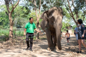 Bangkok: Tour del santuario degli elefanti e delle cascate di Erawan