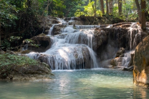 Bangkok: Tour del santuario degli elefanti e delle cascate di Erawan