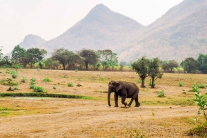 Bangkok: Tour del santuario degli elefanti e delle cascate di Erawan