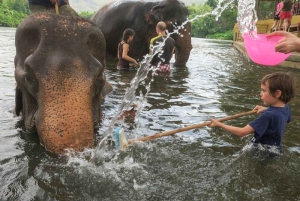 Elephant Sanctuary & Kanchanaburi Highlights Private Tour