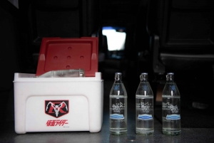 From Bangkok: Ayutthaya Historical Park Guided Day Trip