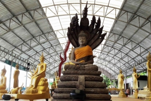 From Bangkok: Chachoengsao Tour and Bang Pakong River Cruise