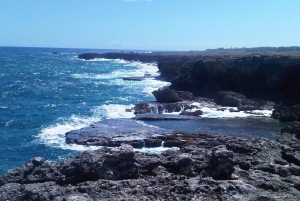 Barbados: 4-Hour Private Customized Island Tour