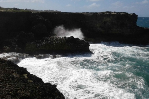 Barbados: 4-Hour Private Customized Island Tour