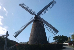 Barbados: 4-Hour Private Customized Island Tour