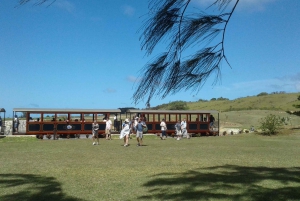 Barbados: 4-Hour Private Customized Island Tour