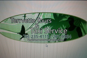 Barbados: 4-Hour Private Customized Island Tour