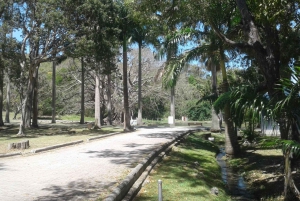 Barbados: 4-Hour Private Customized Island Tour