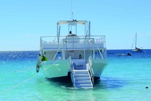 Barbados: Carlisle Bay Strandtag und Schildkrötenschwimmen