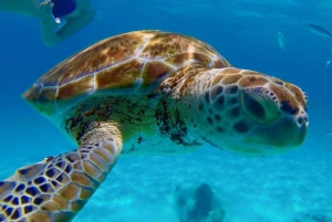 Barbados: Catamaran Tour with Snorkeling and Lunch