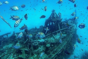 Barbados: Catamaran Tour with Snorkeling and Lunch