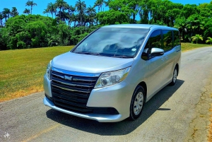 Barbados Private transfer from the airport (BGI)