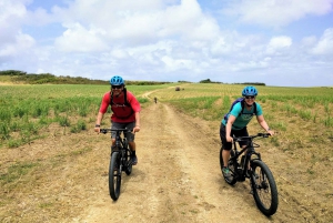 Barbados: Rural Tracks and Trails Guided E-Bike Tour