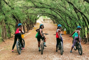 Barbados: Rural Tracks and Trails Guided E-Bike Tour