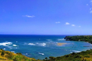 Barbados: Rural Tracks and Trails Guided E-Bike Tour