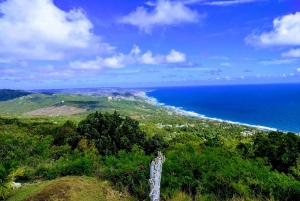Barbados: Rural Tracks and Trails Guided E-Bike Tour