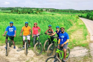 Barbados: Rural Tracks and Trails Guided E-Bike Tour
