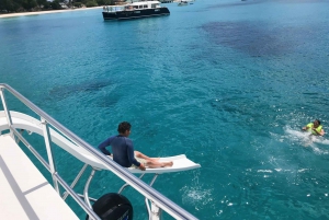 Bridgetown: Carlisle Bay Turtle & Shipwreck boat cruise