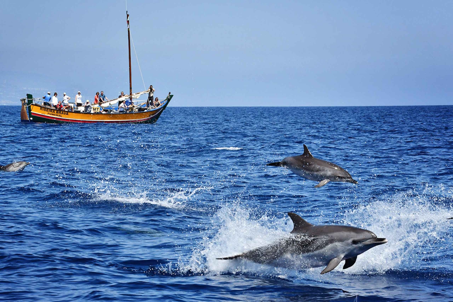 Madeira: Walbeobachtungsausflug in einem traditionellen Schiff