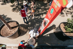 Barcelona: 24 or 48-Hour Hop-On Hop-Off Bus Tour