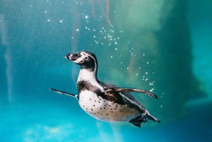 Barcelona Aquarium: Entry Ticket