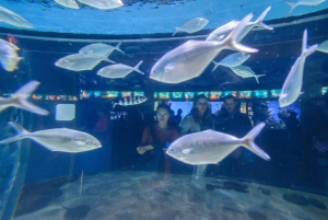Barcelona Aquarium: Skip-the-Line Admission Ticket